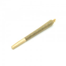 Shop HHC Pre Roll Joints for sale online